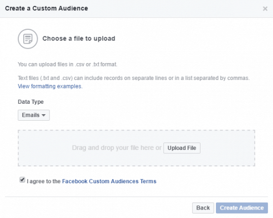 Customer File Facebook Custom Audience