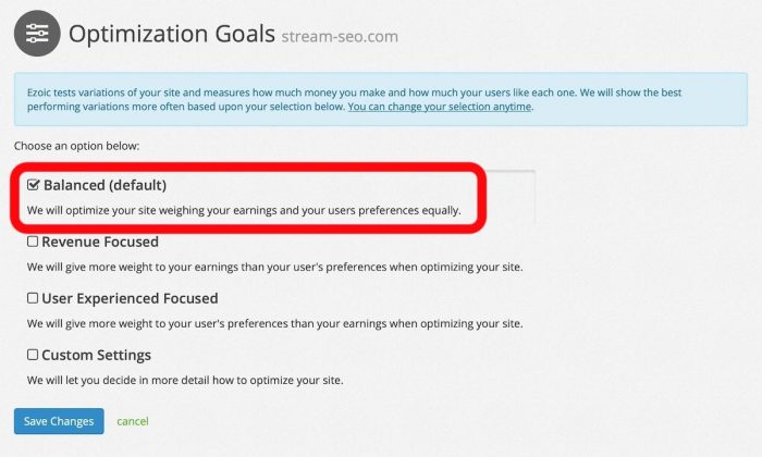 Ezoic Review - optimization goals