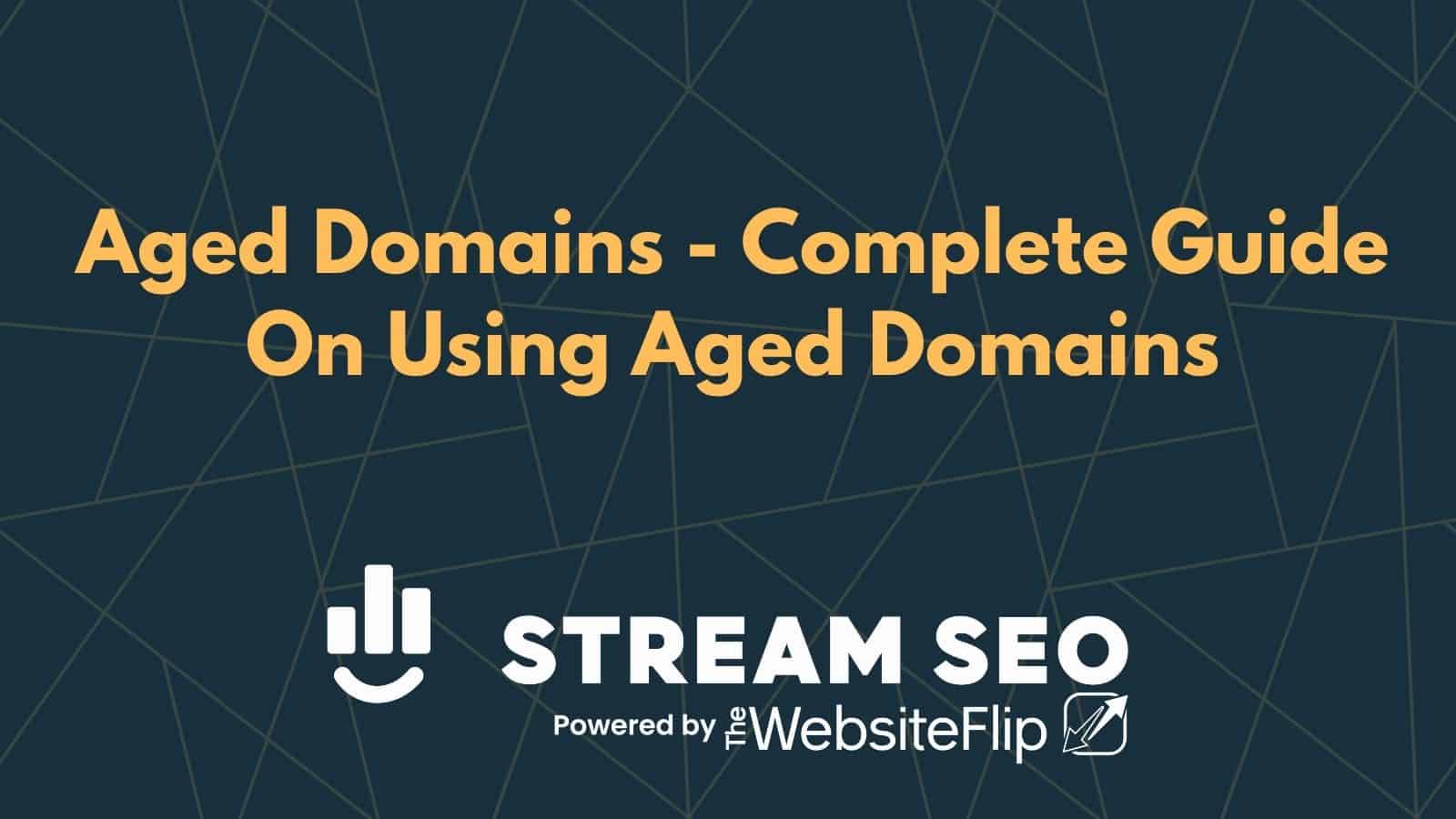 Guide To Using Aged Domains For Niche Sites