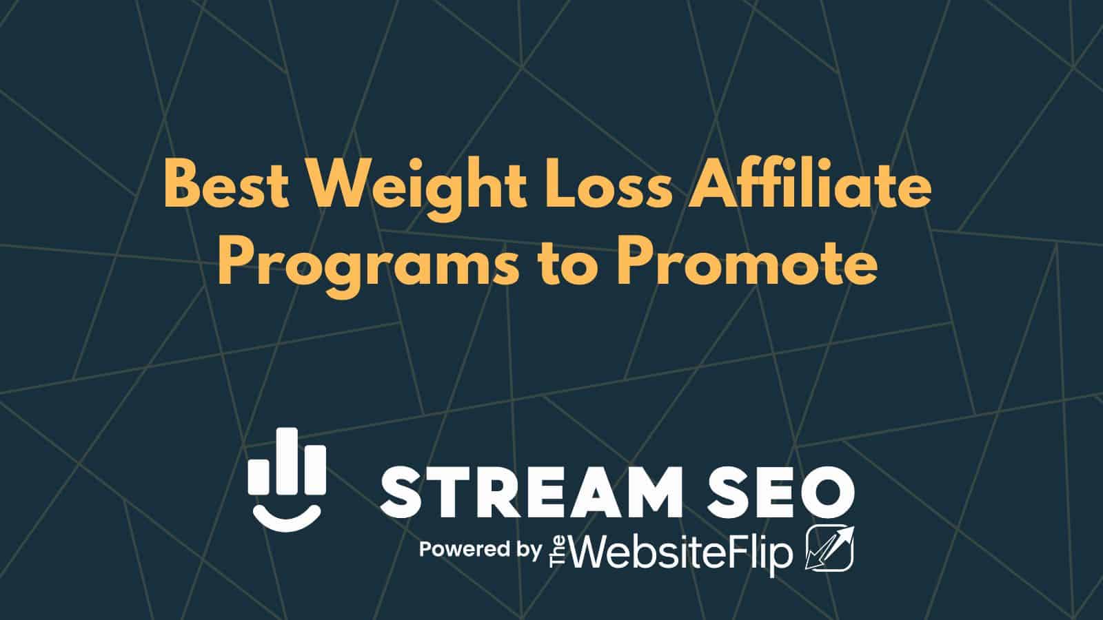 9 Best Weight Loss Affiliate Programs to Promote
